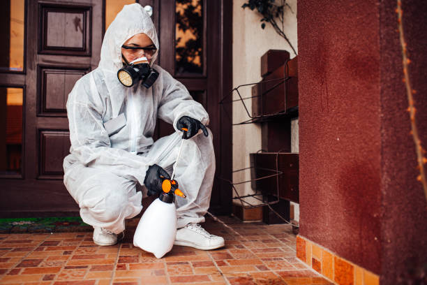 Reliable Cockroach Control contractor in La Mesa, CA by Nex Pest Control